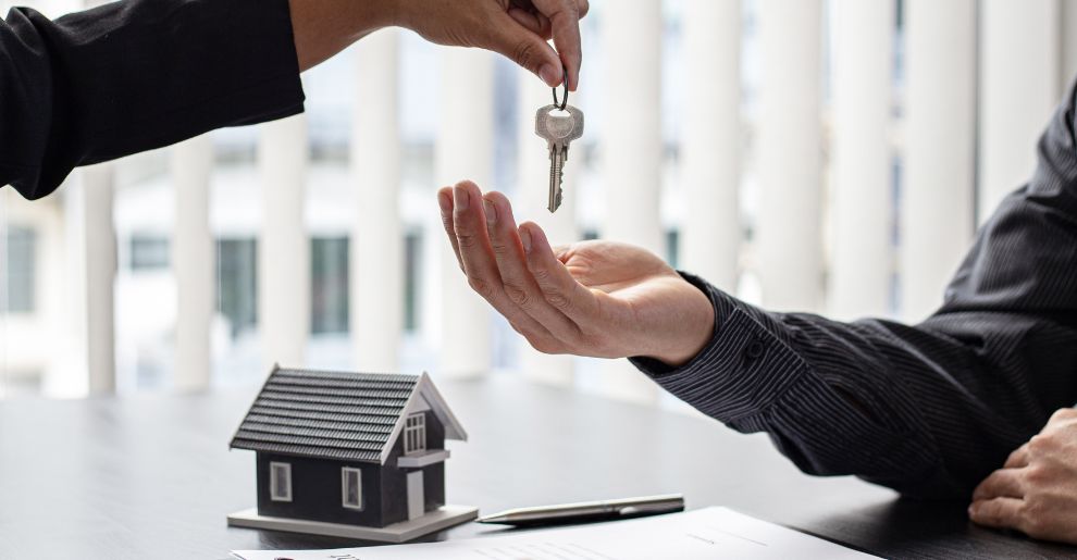 Conveyancing Searches